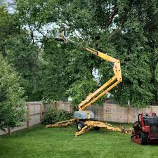Best Lawn Watering Services  in Lewiston, ID