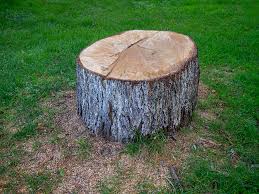 Best Stump Grinding and Removal  in Lewiston, ID